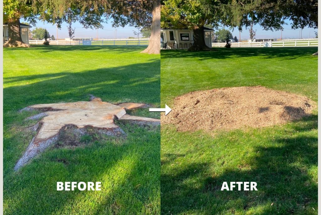 Before and after stump grinding — stump removed, clean mulch-covered area surrounded by green grass